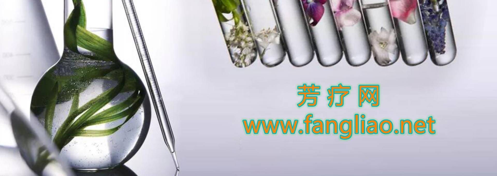 芳疗网